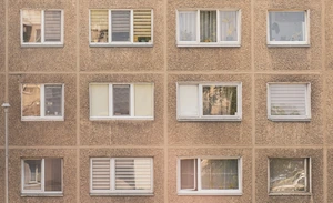Ar gyvenamųjų namų renovacija gali vykti sparčiau?